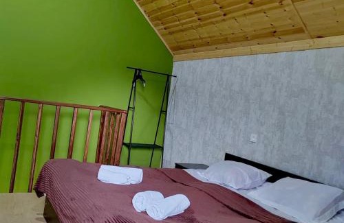 Kazbegi Apartment | Cottage Shina