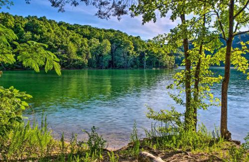 Byrdstown House | Cottage with Deck and BBQ 2 Mi to Dale Hollow Lake!