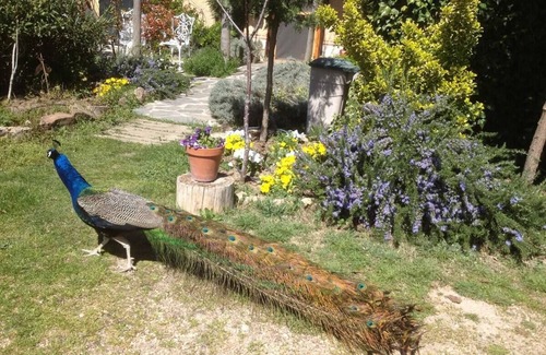 Olmedo Apartment | Country house 2 bedrooms - 6 people: Cozy country house