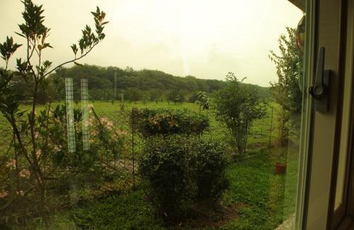 Ruisui Bed & Breakfast | Countryside B&B