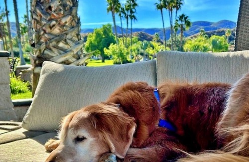 Aguanga House | Couples Corner, RV Golf Resort, 5th Wheel