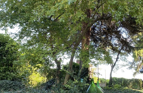 Borgo Virgilio Villa | Court "Desert. Ancient building with swimming pool