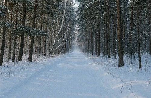 Schuchinsk Apartment | Cozy 1-bedroom apartment in marvelous Burabay with WiFi