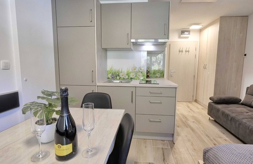 Kranjska Gora Apartment | Cozy and Chic Apartment in Kranjska Gora - Studio Apartment