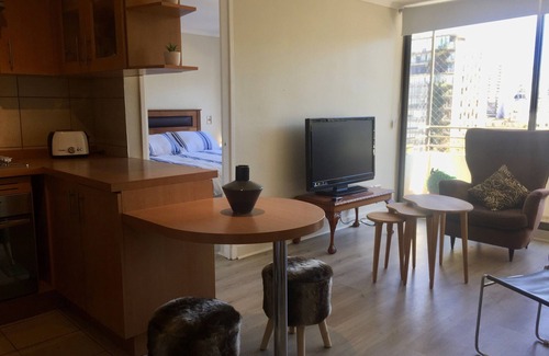 Downtown Santiago Apartment | Cozy and great apartment in the best place in Santiago