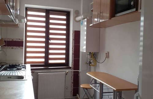 Suceava Apartment | Cozy apartment, located near a vibrant main street ideal for short term retreat