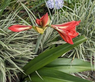 Musanze Apartment | Cozy apartment