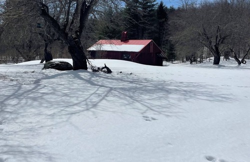 East Dover Apartment | Cozy apt in beautiful secluded spot 15 mins from Mt Snow