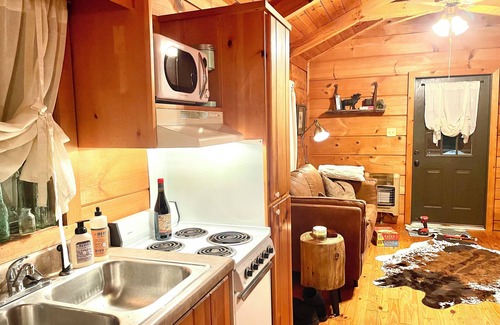 Enoree Cabin | Cozy cabin and contemporary container home on one property! Pets welcome!