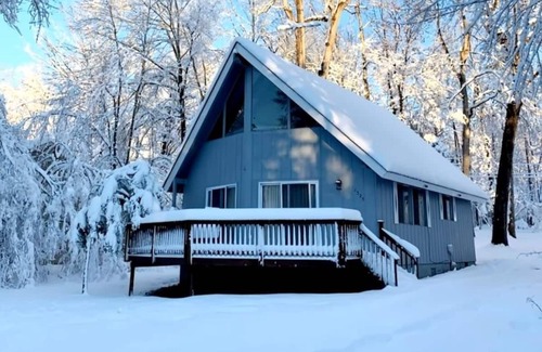 Lake of the Woods Cabin | Cozy cabin near the lake