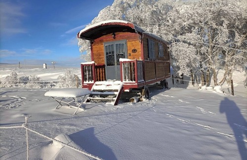 Saint-Front Cabin | Cozy Caravan at Volcano Foot – Hiking with Donkey & Goat Available !