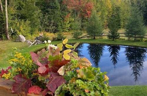 East Burke Ski Chalet | Cozy Chalet adjacent to Kingdom Trailsnbike, hike, ski, or just relax