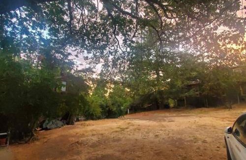 Julian House | Cozy, Cheerful & Charming Cabin - Historic Julian