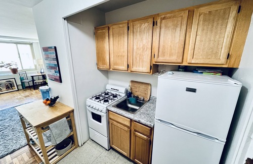 Mount Pleasant Apartment | Cozy Columbia heights studio with lovely cat!