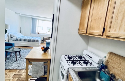 Mount Pleasant Apartment | Cozy Columbia heights studio with lovely cat!