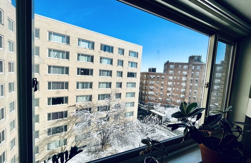 Mount Pleasant Apartment | Cozy Columbia heights studio with lovely cat!