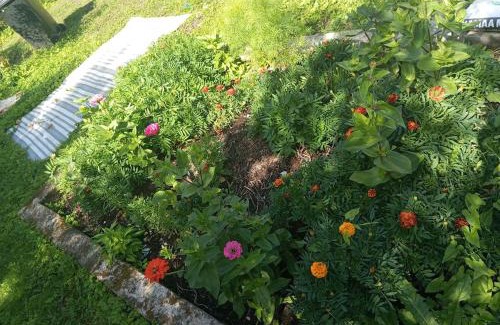 Laitse Ski Chalet | Cozy cottage 30 min from Tallinn