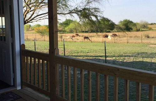 Lake City Cottage | Cozy couple’s cottage on alpaca farm - cabin #3