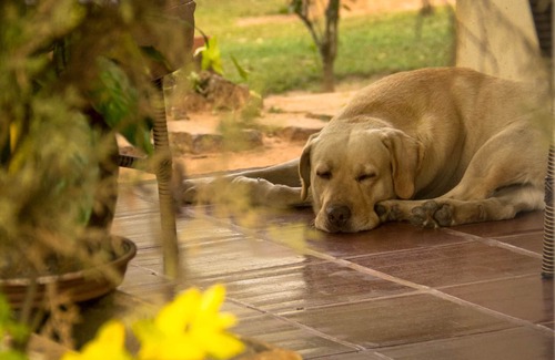 Porto Feliz House | Cozy environment