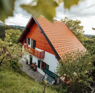 Majsperk House | Cozy family place 'Hiša Grozdek' - Gruškovec 40A
