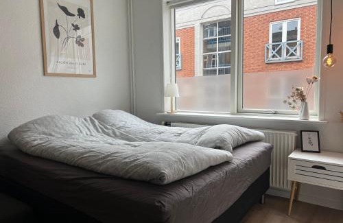 Silkeborg Apartment | Cozy Flats Silkeborg - S1