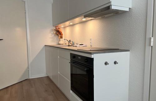 Silkeborg Apartment | Cozy Flats Silkeborg - S1