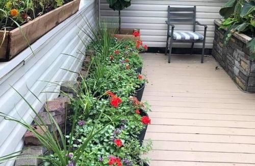 North Center Apartment | Cozy Garden Unit Located in North Center