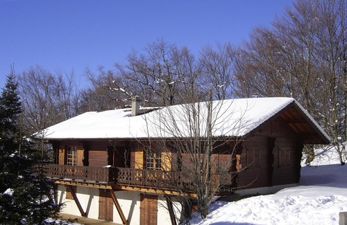 Saint-Paul-en-Chablais Apartment | Cozy Ground Floor Chalet Apartment, 15min from Evian, Near Ski Resorts