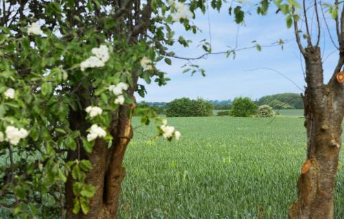 Flovt Strand House | Cozy Home In Haderslev With Wifi