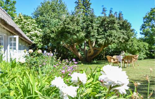 Kirke Hyllinge House | Cozy Home In Kirke Hyllinge With Wifi