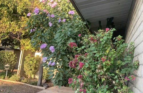 Fashion Square House | Cozy, light filled 2B, 2B in Scottsdale