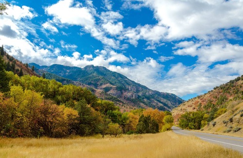 St. Charles Cabin | Cozy log studio with large front deck & kitchenette