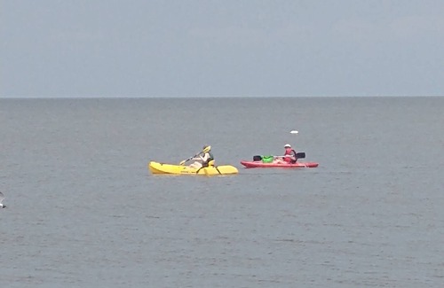 Green Creek House | Cozy Private RV Near The Delaware Bay