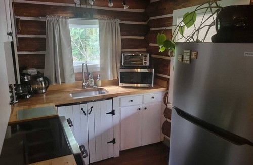 Castle Rock Cabin | Cozy Washington Log Cabin: Riverside Retreat