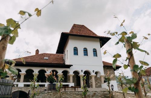 Moldova Hotel | Crama Mircesti