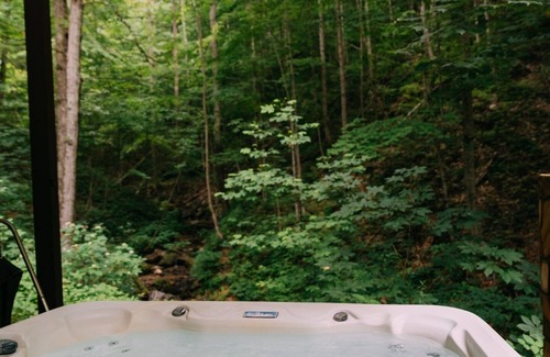 Stanton Cabin | Creekside Oasis! A 3-bedroom cabin with a fantastic view in Birch Hollow.