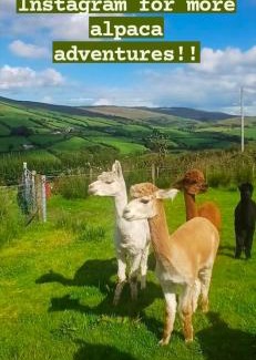 Omagh House | Creggan Deveskey Homestead