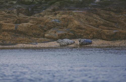 Tighnabruaich House | Crispie House