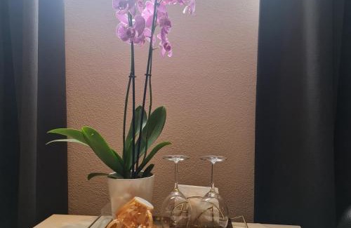 Burgwallen Nieuwe Zijde House | Crown Guesthouse Amsterdam