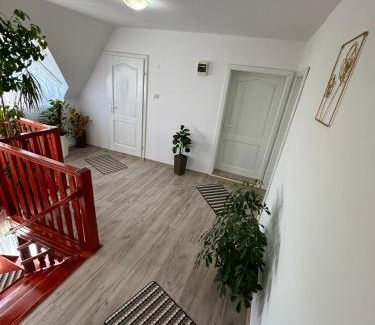 Izvoru Muresului Bed & Breakfast | Csermely Panzio