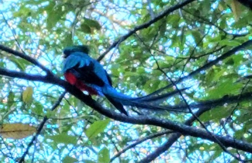 Copey Cabin | Cute and comfortable cabins in the Dota Mountains