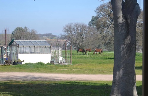Creston House | Cute Ranch Home in Wine Country