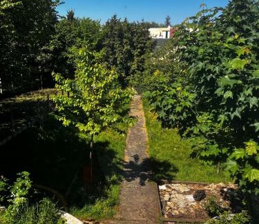 Flore House | Cyrus House