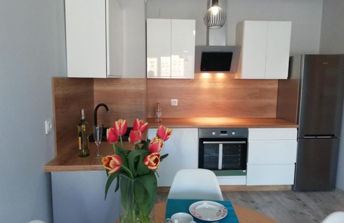 Wilda Apartment | Czarnieckiego 2