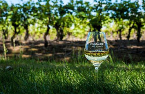 La Haie-Fouassiere House | Dépendance chaleureuse dans le vignoble nantais