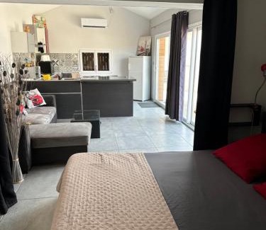 Saint-Vite Apartment | Dépendance de 45m2 à louer