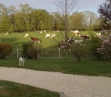 Marboz House | Dépendance pour 1 à 4 pers au calme dans propriété