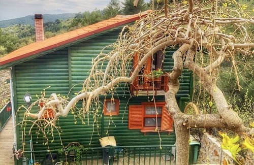 Ayvacik Ski Chalet | - Dağ Evi -