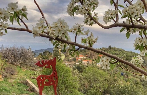 Ayvacik Ski Chalet | - Dağ Evi -