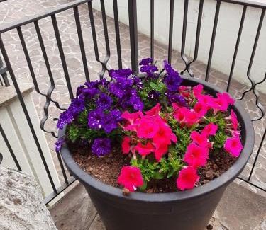 Zanica House | Da Cinzia